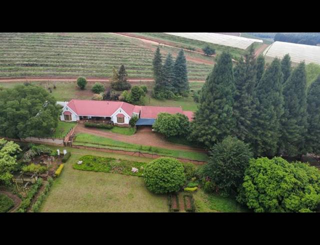 FARM FOR SALE IN TZANEEN RURAL
